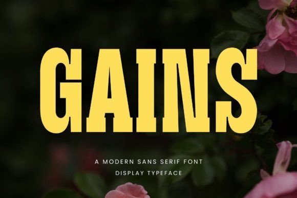 Gains Font: A Modern Display Typeface for Bold Visuals